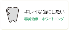 キレイな歯にしたい